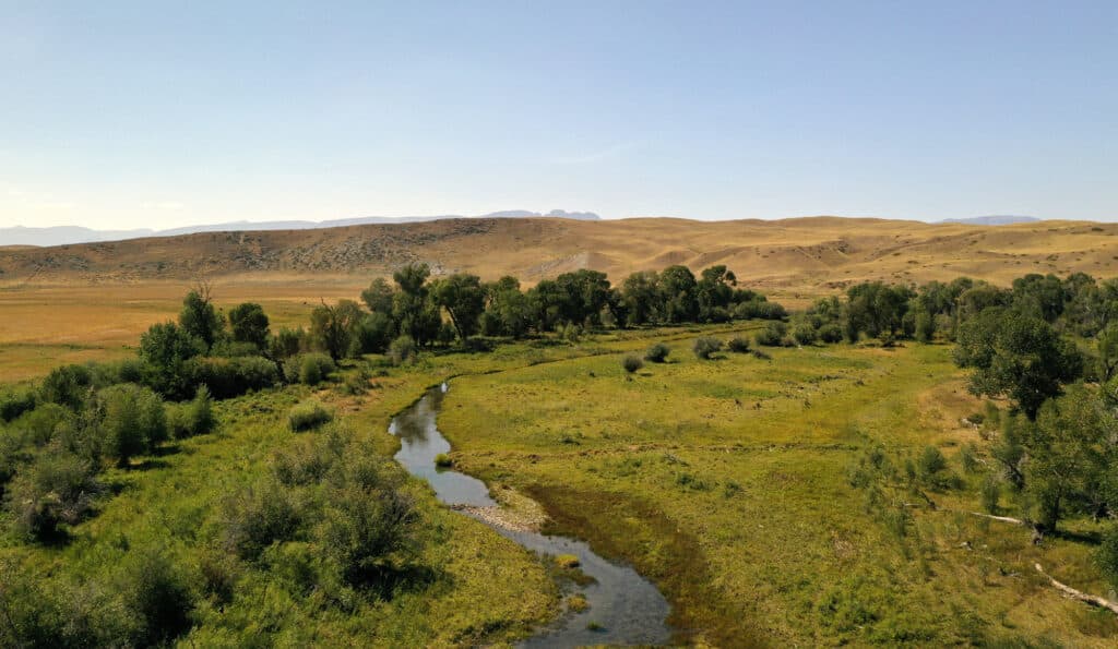 A winding river flows through a green meadow bordered by trees, with rolling golden hills and a clear blue sky—a perfect setting for recreational land or a charming cattle ranch.