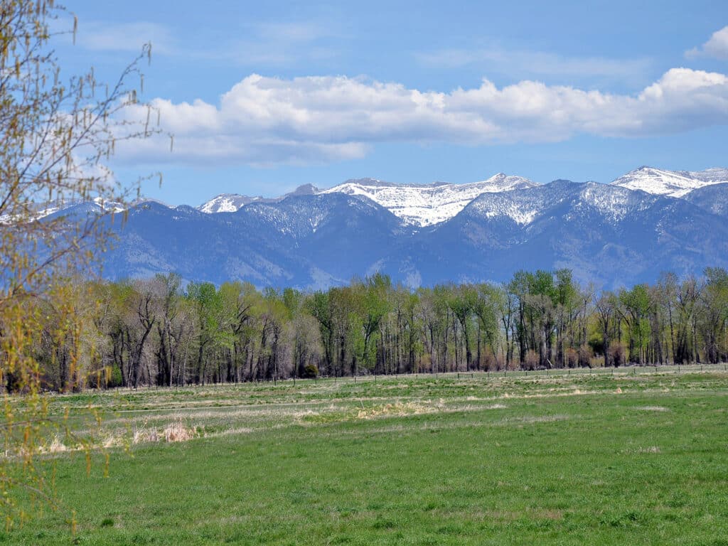 A grassy field with scattered trees in the foreground and snow-capped mountains in the background under a partly cloudy blue sky—ideal cattle ranch or hunting property land for sale.
