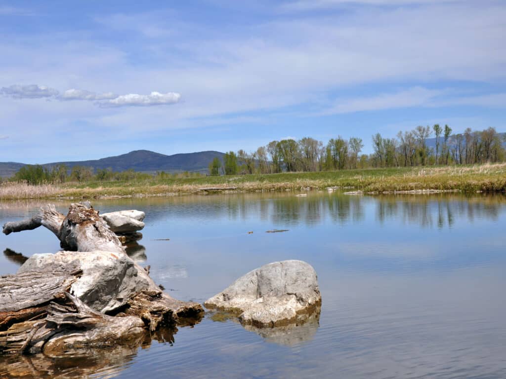 A calm river with clear reflections of nearby trees and mountains, a large log and rocks in the foreground, under a partly cloudy sky—perfect for recreational land or a peaceful hunting property.