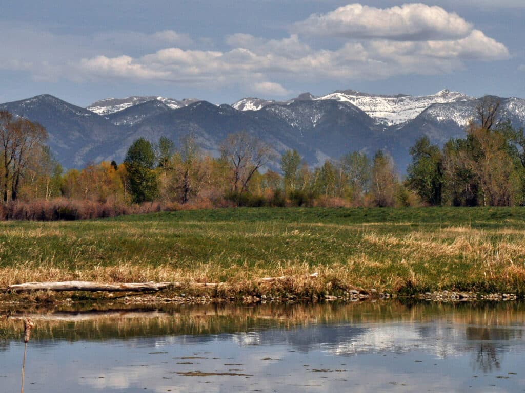 A calm pond with grassy banks in the foreground, trees with spring foliage in the middle ground, and snow-capped mountains under a partly cloudy sky in the background—ideal scenery for a serene cattle ranch.