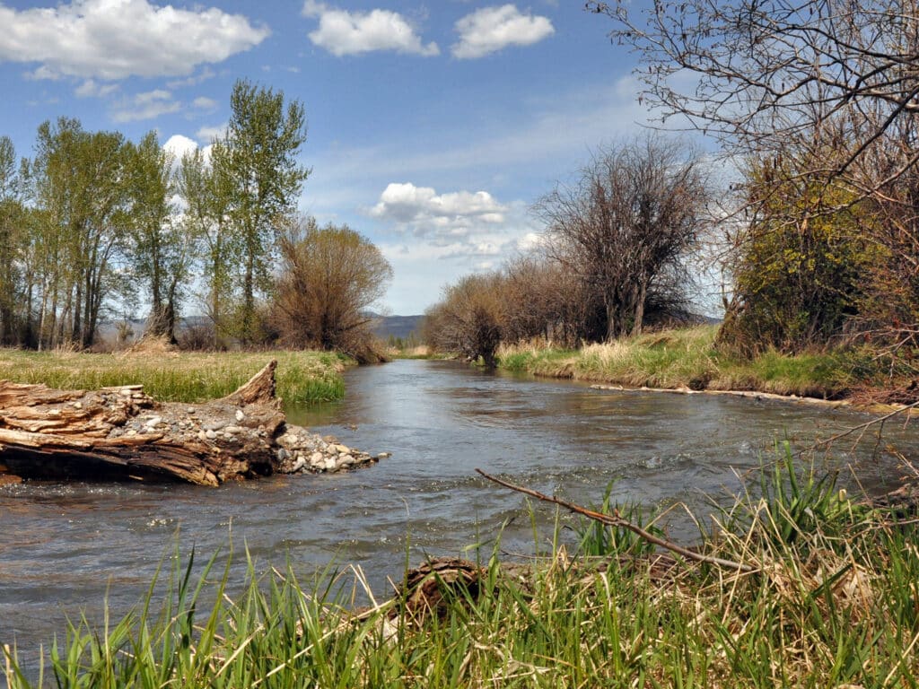 A gentle stream flows through recreational land with trees lining the banks under a blue sky dotted with white clouds. A fallen log rests near the water’s edge in the foreground, perfect for exploring nature.