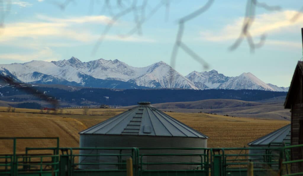 Grain silos and green fencing sit in a golden field, ideal for recreational land, with snow-capped mountains and blue sky in the background; blurred branches hang at the top of the image.