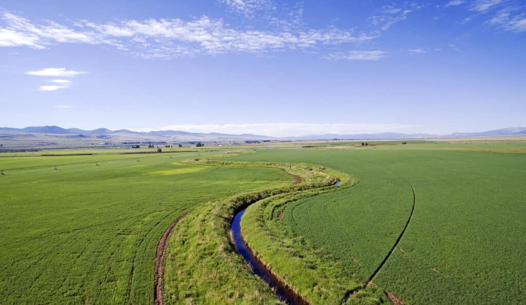 A winding stream runs through lush green fields under a blue sky with scattered clouds, with distant mountains visible on the horizon—an ideal hunting property or recreational land.