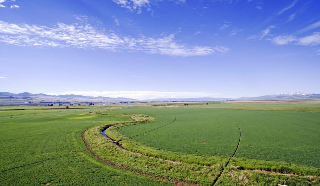 A green field with a winding stream under a blue sky and scattered clouds; distant mountains are visible on the horizon—an ideal cattle ranch for sale.