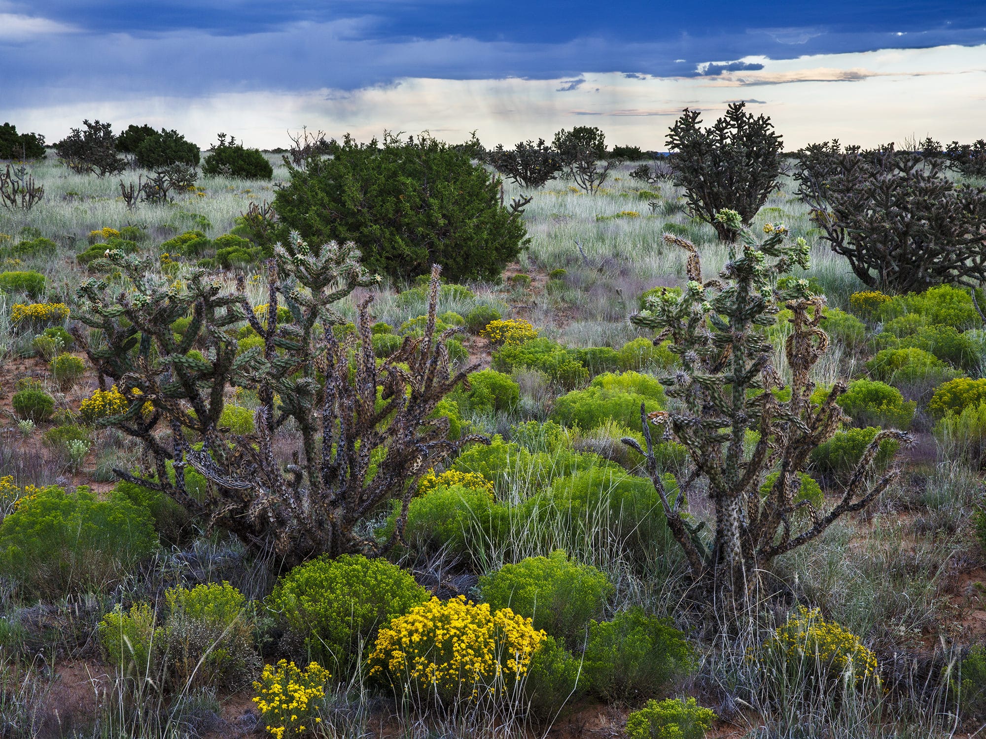 201408_flywheel_052_v1_copy