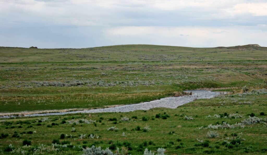 A small stream flows through a wide, open grassy plain with gentle, rolling hills under a cloudy sky. Sparse patches of sagebrush and low vegetation make this ideal recreational land or a picturesque cattle ranch.