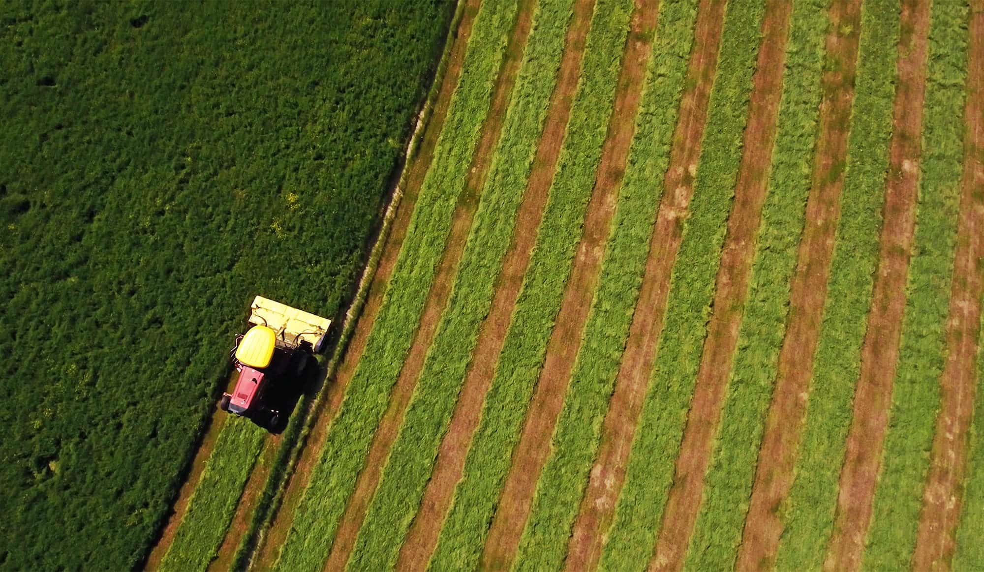 Aerial view of a red and yellow tractor harvesting a green field on recreational land, creating parallel rows of cut and uncut grass. The tractor moves from left to right, leaving distinct striped patterns in the field.