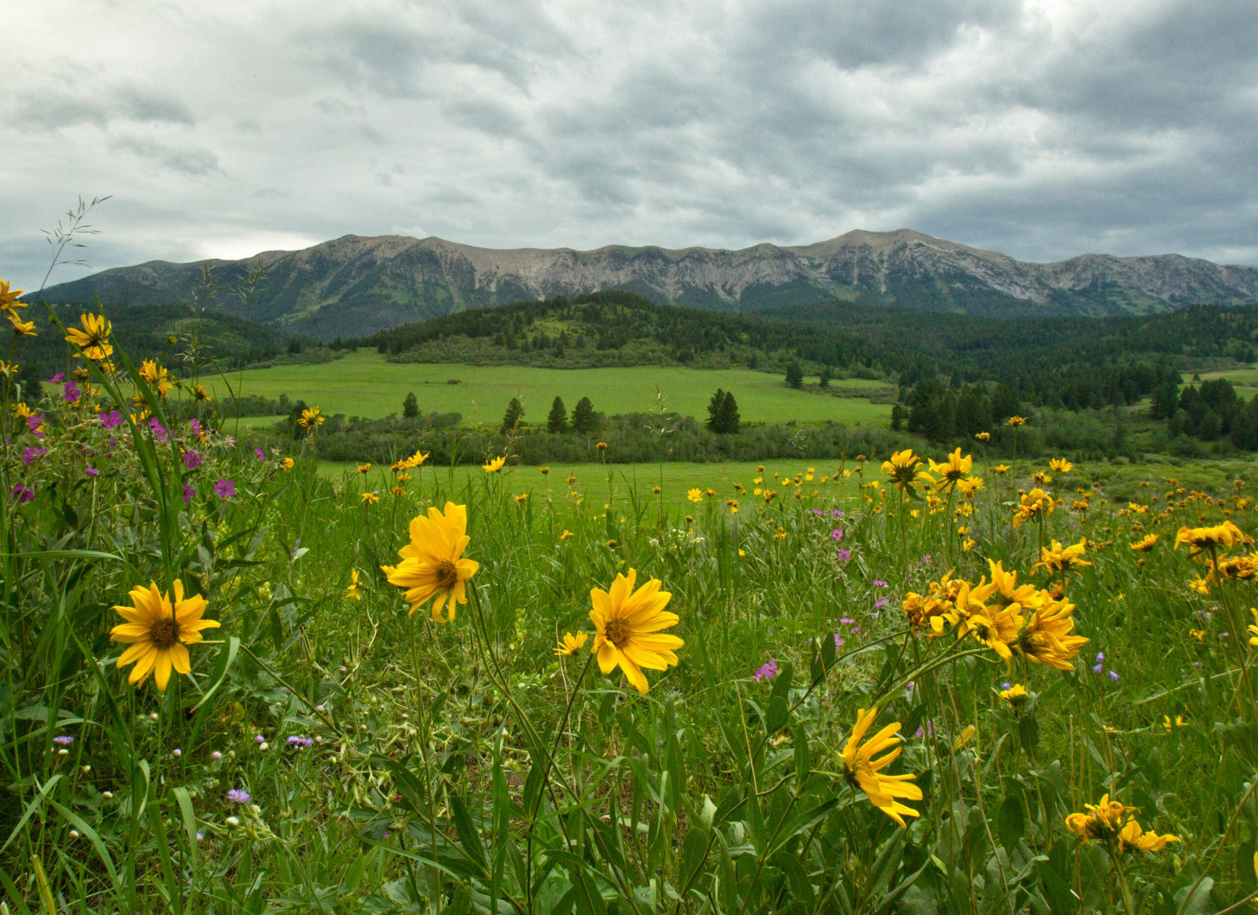 lazy_j_ranch_krow7840_16x22