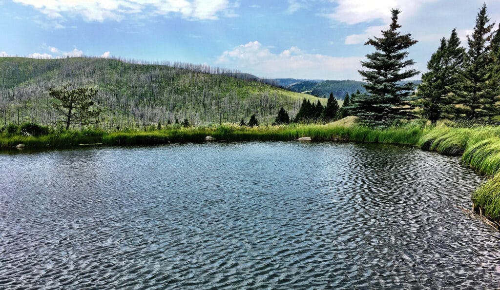 A small pond with rippling water is surrounded by green grass, pine trees, and hills under a partly cloudy blue sky—ideal land for sale for those seeking a serene hunting property.