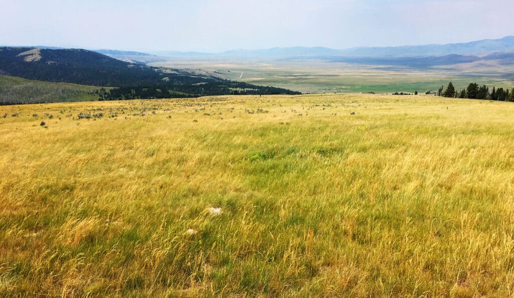 A wide open field of yellow-green grass stretches toward distant hills and mountains beneath a hazy sky, creating a vast and peaceful landscape ideal for a cattle ranch or hunting property.
