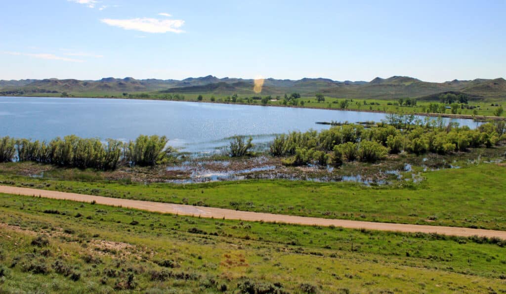 A serene lake bordered by green grassy fields and scattered trees, with distant rolling hills under a clear blue sky. A narrow dirt road runs along the shoreline—perfect land for sale or as your dream cattle ranch.
