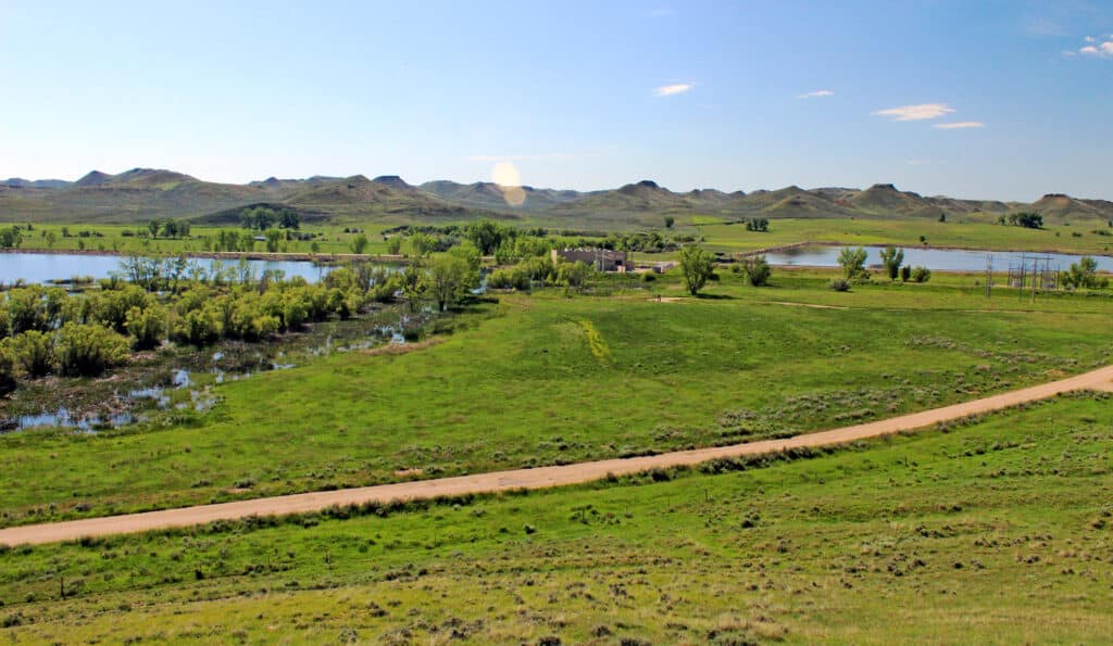A wide view of a grassy landscape with a dirt road, small lakes, scattered trees, and distant low hills under a blue sky—ideal as a hunting property or ranch for sale.