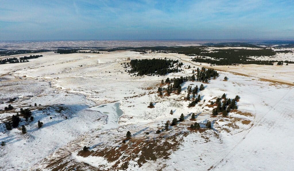 Aerial view of a vast, snowy landscape with scattered evergreen trees, rolling hills, and a frozen pond under a blue sky—perfect land for sale as a scenic cattle ranch amid open terrain, forest patches, and distant flatlands.