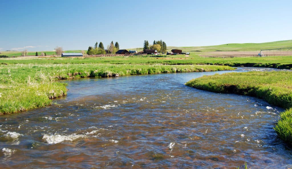 A clear, shallow stream winds through a green grassy field with a few scattered farm buildings and trees in the distance under a bright blue sky—an ideal recreational land or hunting property opportunity.