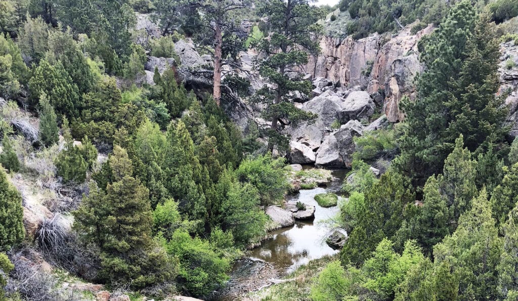 A rocky canyon with dense green trees and shrubs surrounds a small creek winding through the landscape, featuring tall cliffs and boulders—an ideal recreational land or potential ranch for sale.