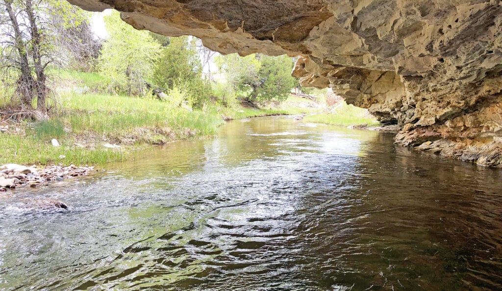 A clear stream flows under a rocky overhang with green grass, trees, and shrubs lining the banks on this recreational land for sale, perfect for outdoor enthusiasts.