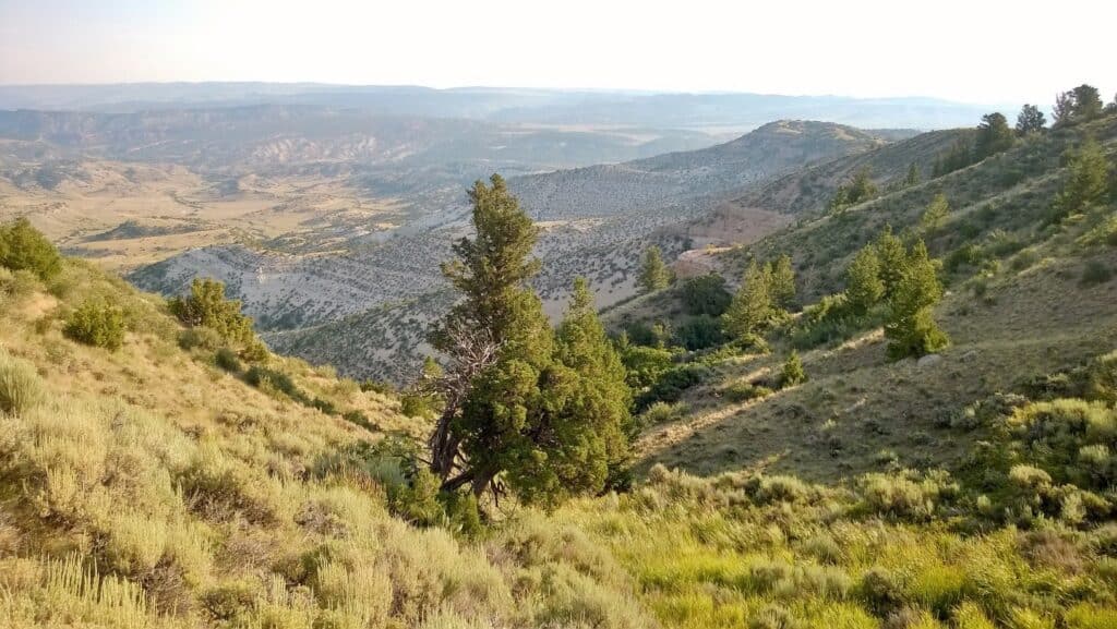 A scenic view of rolling hills covered with grass and scattered trees under a hazy sky, with distant mountains in the background—ideal recreational land or potential cattle ranch.