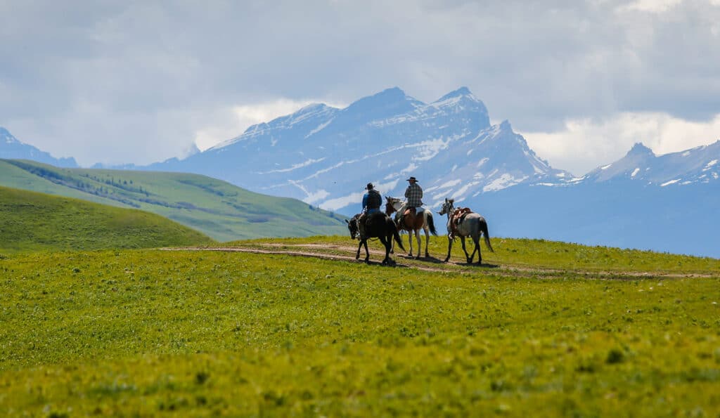 Two people riding horses along a grassy trail with a pack horse, set against green hills and snow-capped mountains under a cloudy sky—perfect scenery for those seeking hunting property or land for sale.