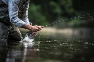 A person wearing waders and a plaid shirt stands in a river on a cattle ranch, reeling in a fishing line with a fly-fishing rod, creating splashes. The background is blurred with green foliage.
