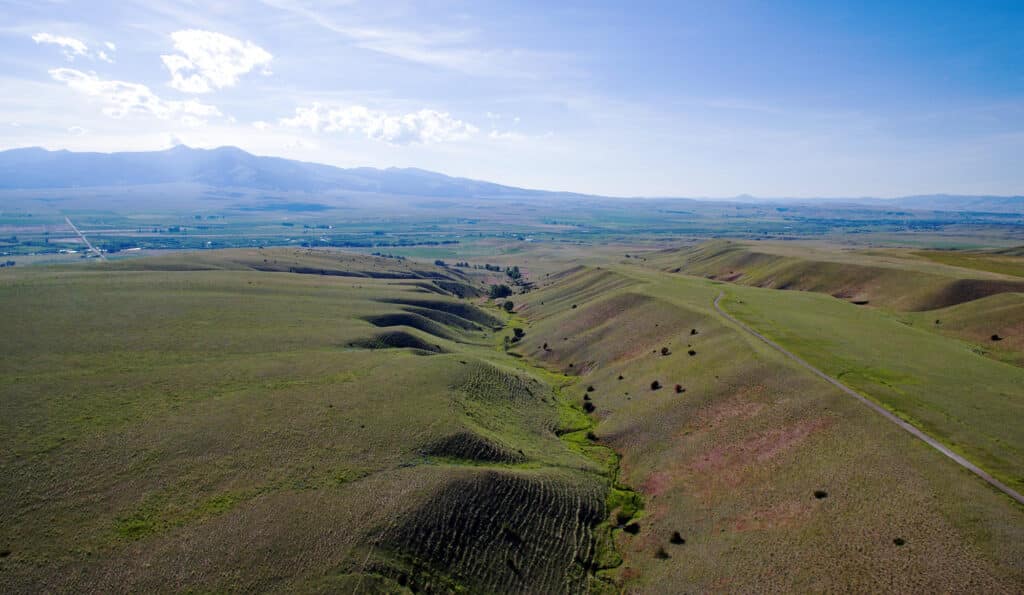 Aerial view of rolling green hills with a narrow valley, scattered shrubs, and a dirt road, set against distant mountains under a clear blue sky—perfect recreational land or an ideal cattle ranch for sale.