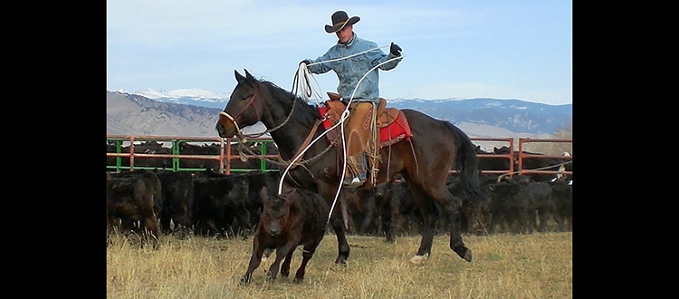 wb-scott_roping-ed_res180