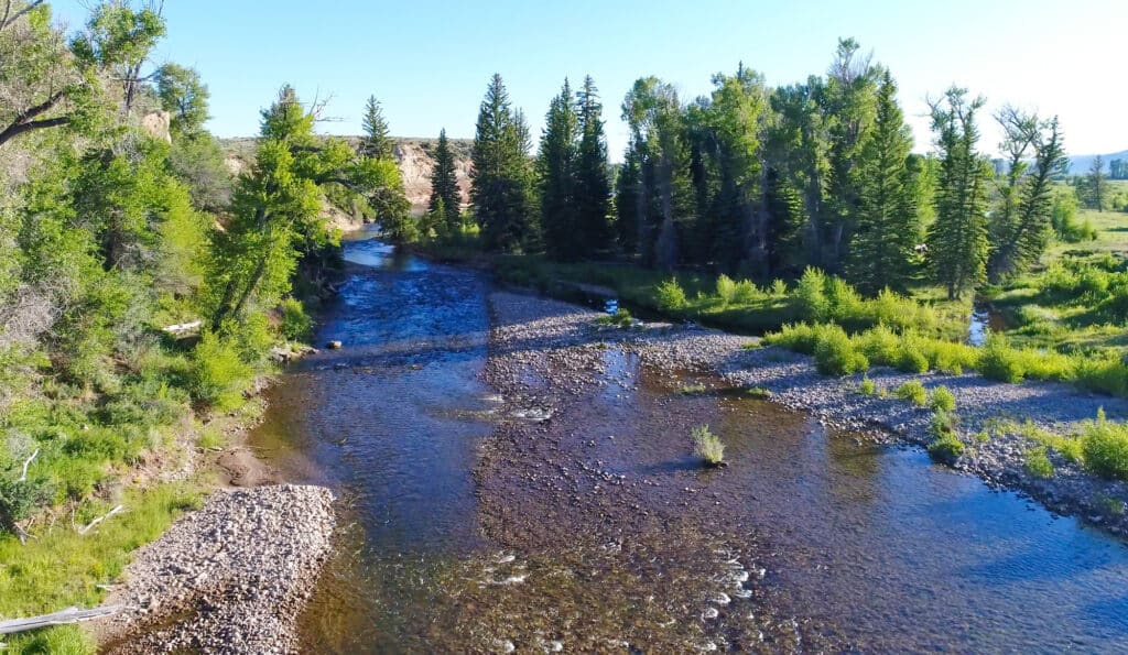 A clear, shallow river winds through a forest with tall evergreen trees and green shrubs, under a bright blue sky. Pebbles and small rocks line the riverbank—perfect recreational land for outdoor enthusiasts.