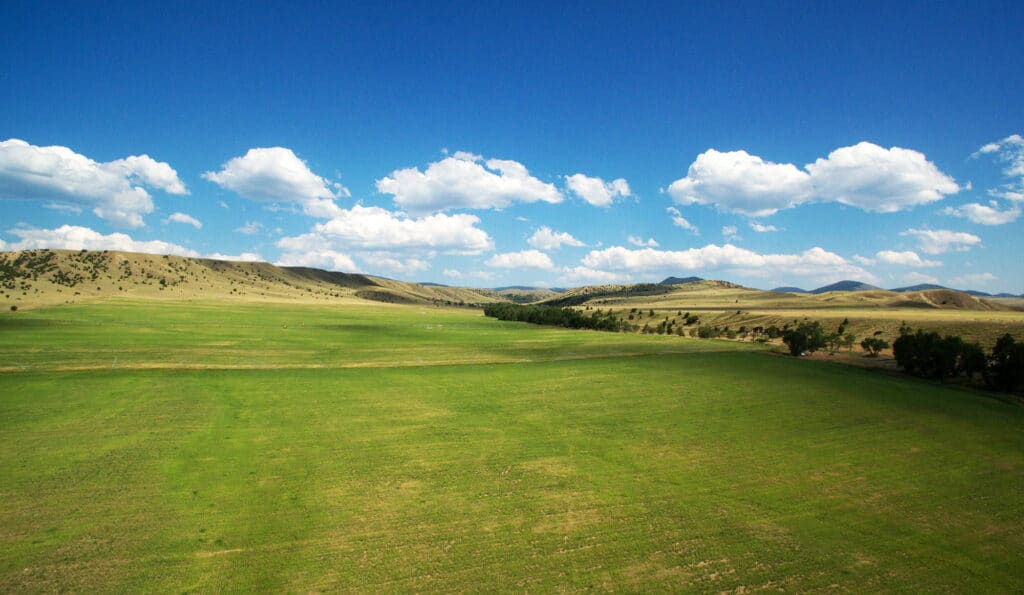 Expansive green field with gently rolling hills, scattered trees, and distant low mountains beneath a bright blue sky—ideal as a scenic cattle ranch or sought-after land for sale.