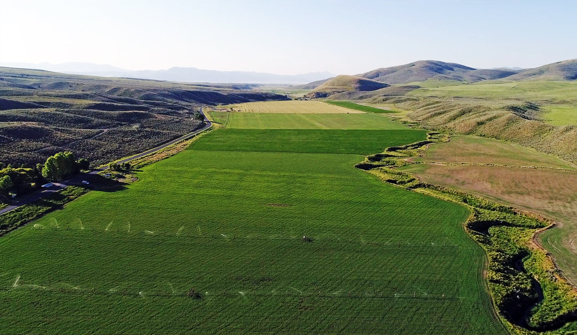 w-park_ranch_irrigated_field-ed