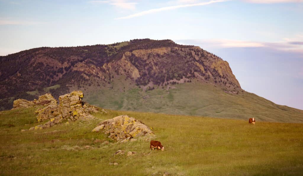 Strand Ranch in Montana