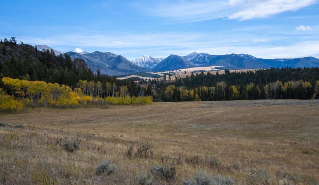 A wide open field with dry grass, bordered by trees with autumn foliage, leads to forested hills and snow-capped mountains under a blue sky—an ideal recreational land or hunting property.