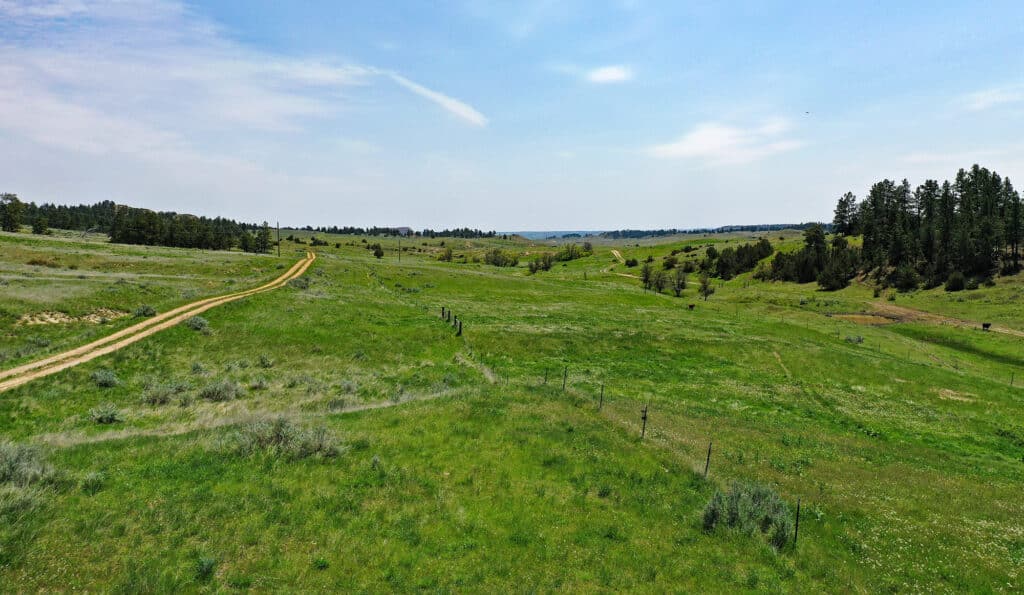 Grassland ranch in Montana