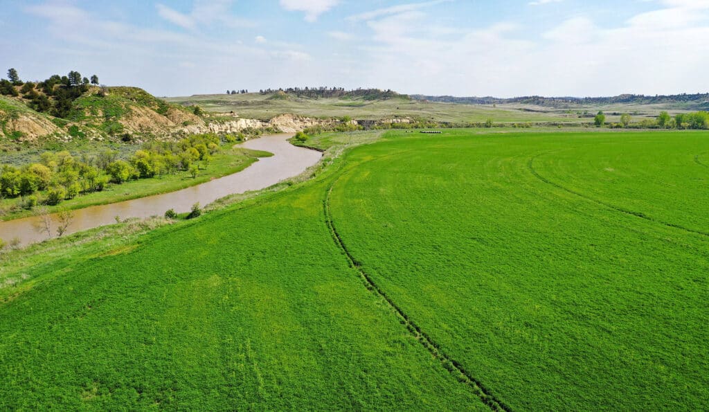 farming and grazing estate Montana