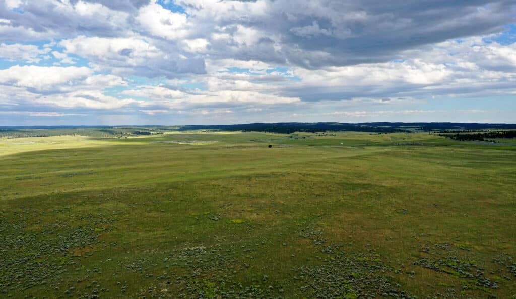 A wide, open grassland stretches beneath a partly cloudy sky, with rolling green fields and sparse vegetation—ideal for recreational land or as a hunting property. Low hills and distant treelines are visible in the background.