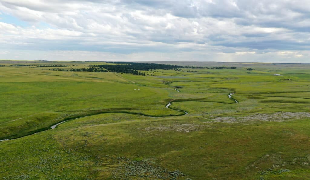 Aerial view of a vast green prairie landscape, ideal as a hunting property or cattle ranch, with a winding creek running through grassy fields under a mostly cloudy sky.