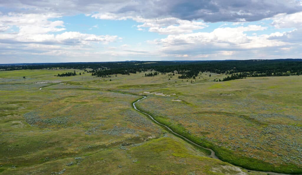 Aerial view of a vast grassy plain with a narrow, winding stream running through it, dotted with scattered trees under a partly cloudy sky—ideal recreational land or potential cattle ranch.