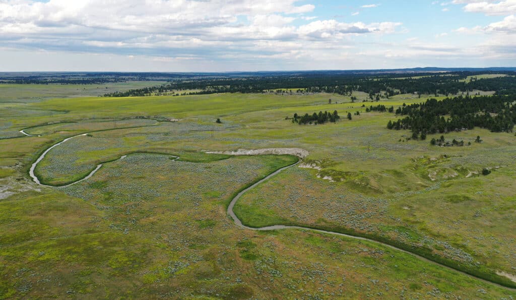 A wide aerial view of a green, grassy prairie landscape with a winding river, scattered wildflowers, and patches of trees under a partly cloudy sky—ideal land for sale or your future hunting property.