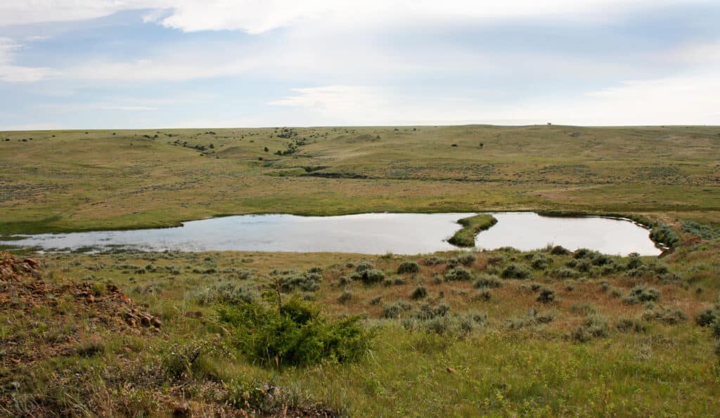 A small, reflective pond sits among grassy, rolling hills under a partly cloudy sky, with scattered shrubs and greenery—an inviting setting for ranch for sale seekers.