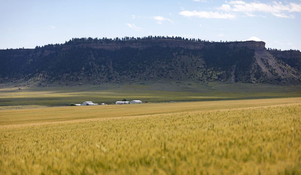 A golden field stretches toward distant farm buildings, set against a flat-topped, forested plateau under a partly cloudy sky—ideal land for sale perfect for a cattle ranch or hunting property.