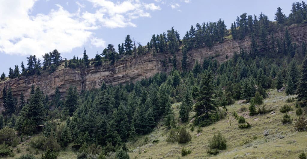 A sloped hillside covered with green pine trees and shrubs, featuring a rocky, layered cliff midway up and a blue sky with scattered clouds above—ideal for recreational land or a hunting property.