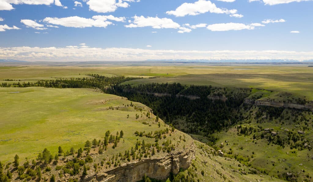 A wide view of a grassy plateau with steep cliffs and a deep, forested canyon under a partly cloudy sky; distant mountains are visible on the horizon—ideal land for sale perfect for a cattle ranch.