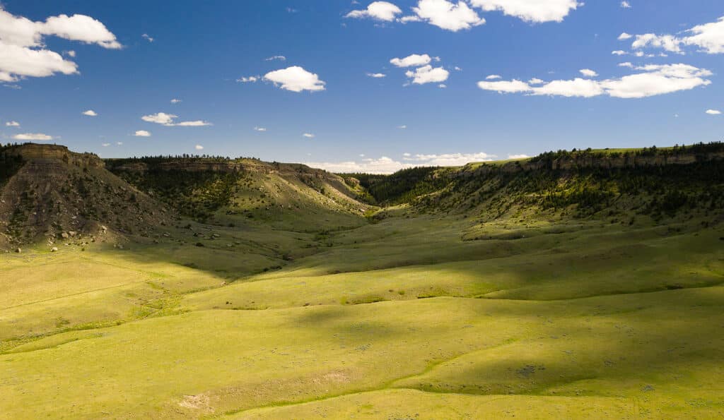 A wide, grassy valley surrounded by rocky cliffs and dotted with sparse trees, under a bright blue sky with scattered white clouds—an ideal landscape for a serene cattle ranch or beautiful land for sale.