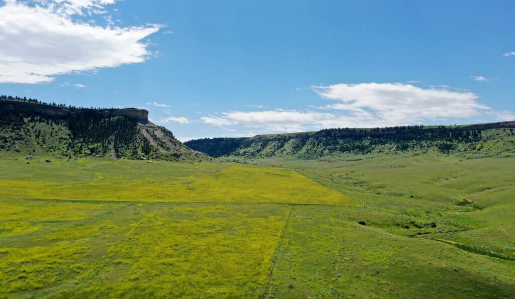 A wide grassy valley bordered by steep, rocky plateaus under a blue sky with scattered clouds offers stunning views—ideal land for sale for those seeking hunting property or a scenic ranch for sale.