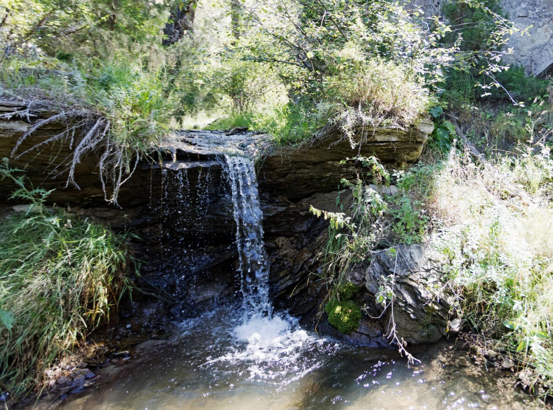 A small waterfall flows over a rocky ledge surrounded by green plants and grasses on a scenic cattle ranch, with sunlight filtering through the trees above. The water splashes into a shallow pool below.