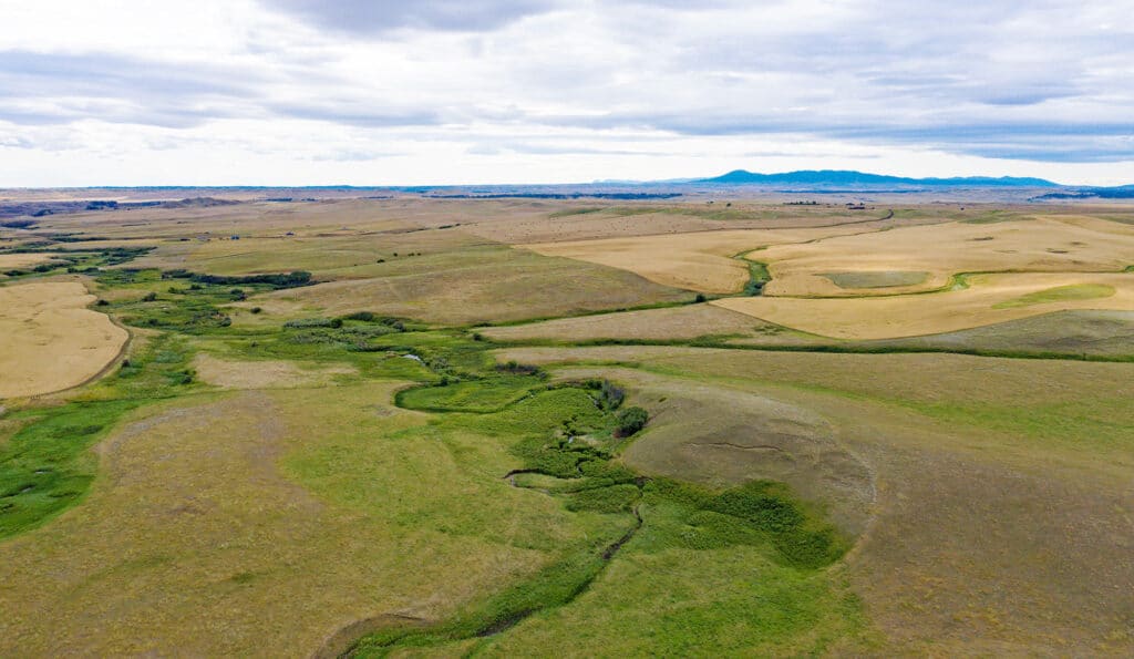 Aerial view of rolling hills and grasslands with a winding creek, patches of green vegetation, and distant mountains under a cloudy sky—ideal recreational land or ranch for sale.