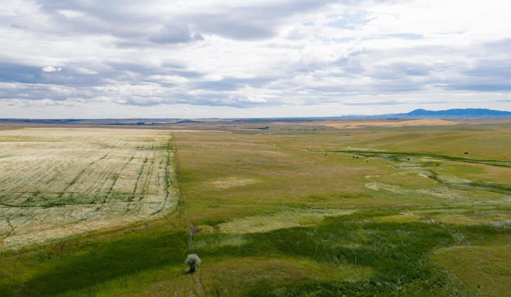 A wide, open prairie landscape under a cloudy sky, with green and golden fields stretching to the horizon and distant low hills—perfect for a cattle ranch or hunting property.