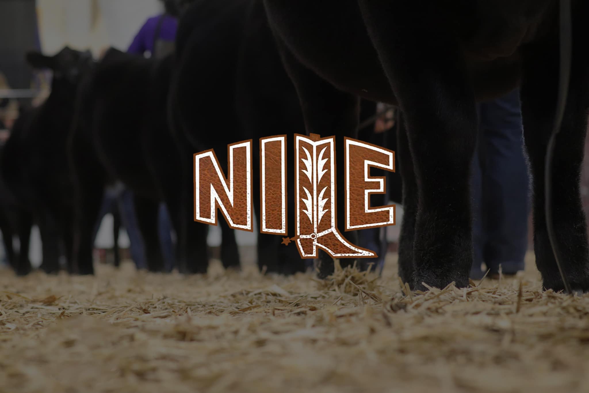 A row of black cattle stands on straw inside an arena, highlighting prime land for sale. Overlay text in a Western-style font reads “NILE,” with a cowboy boot forming the letter “L.”.