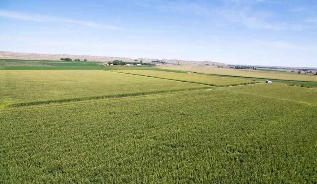Aerial view of expansive green farmland divided into rectangular fields under a clear blue sky, ideal as recreational land or hunting property, with distant buildings and low hills on the horizon.