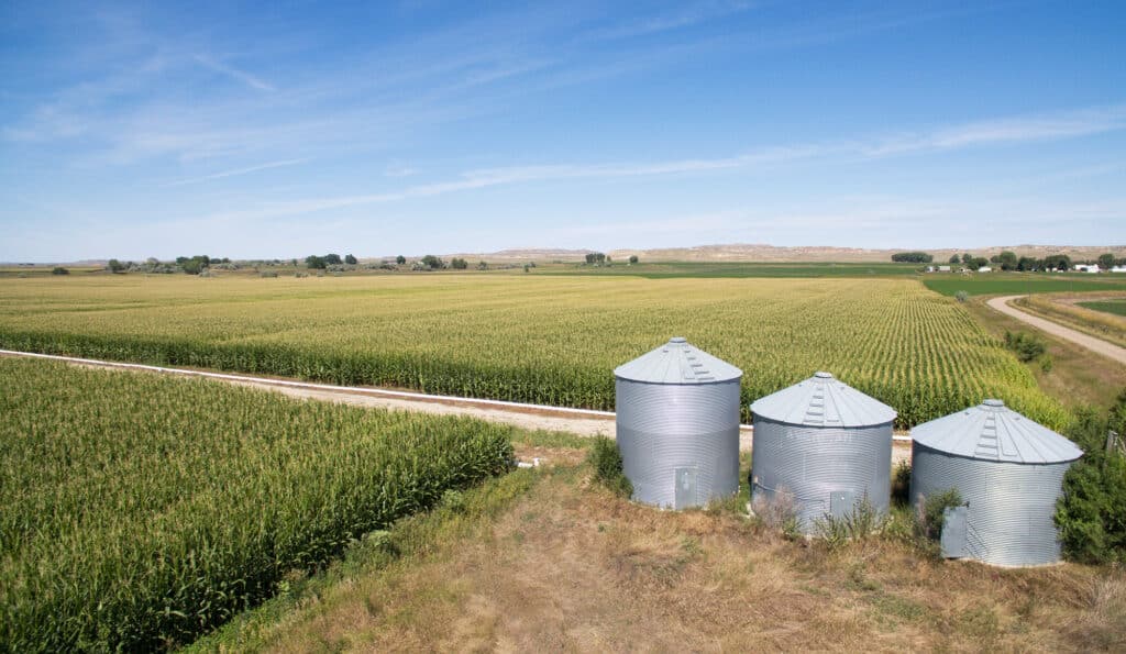 A rural landscape featuring three silver grain silos in front of vast, green cornfields under a blue sky. Dirt roads border this potential recreational land, with distant trees dotting the horizon.