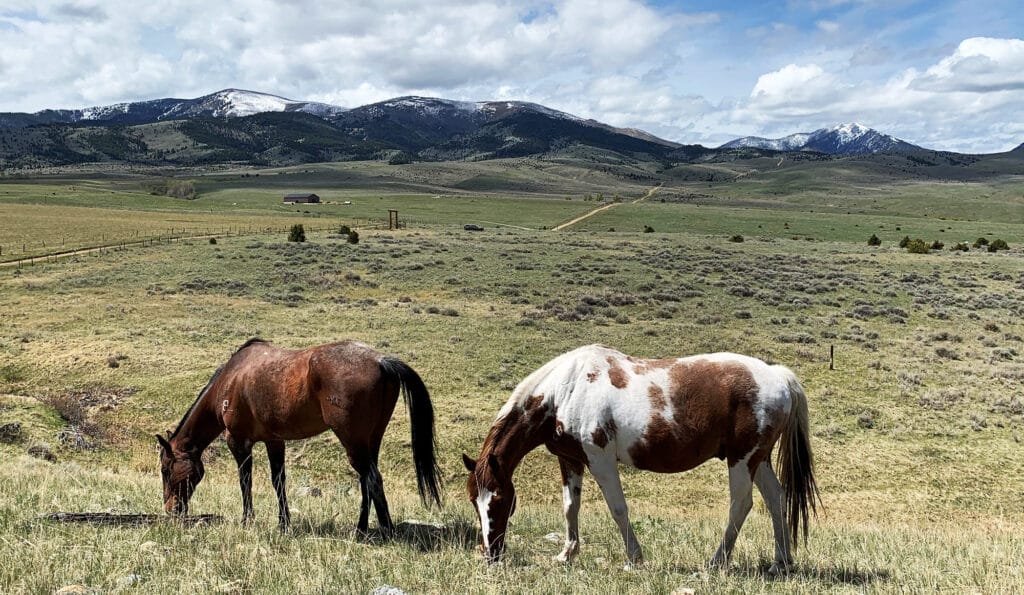 Two horses graze on a grassy field with rolling hills and snow-capped mountains in the background under a partly cloudy sky, perfect for those seeking recreational land or a scenic ranch for sale.
