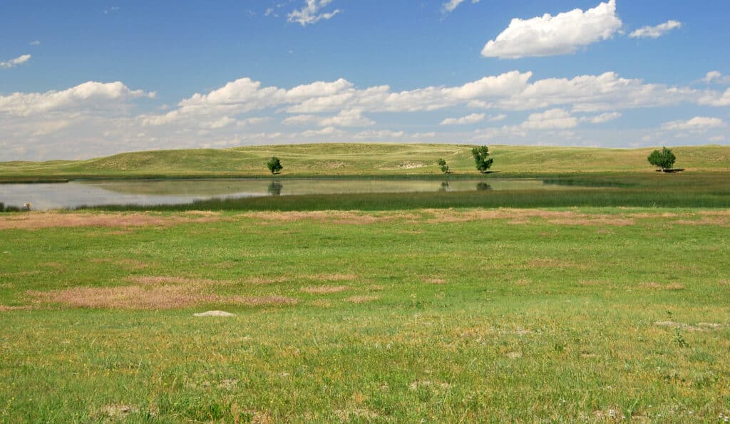 A grassy plain with patches of brown and green stretches toward a calm pond, reflecting clouds and scattered trees; low hills and a partly cloudy blue sky appear in the background—ideal recreational land or cattle ranch.
